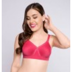 TRYLO ALPA BRA (2 Pcs) (FULL COVERAGE, NON PADDED, NON WIRED, SEAMLESS, MOLDED, T-SHIRT BRA, FULL COVERAGE, 4X4 BACK HOOK, FIXED STRAPS)